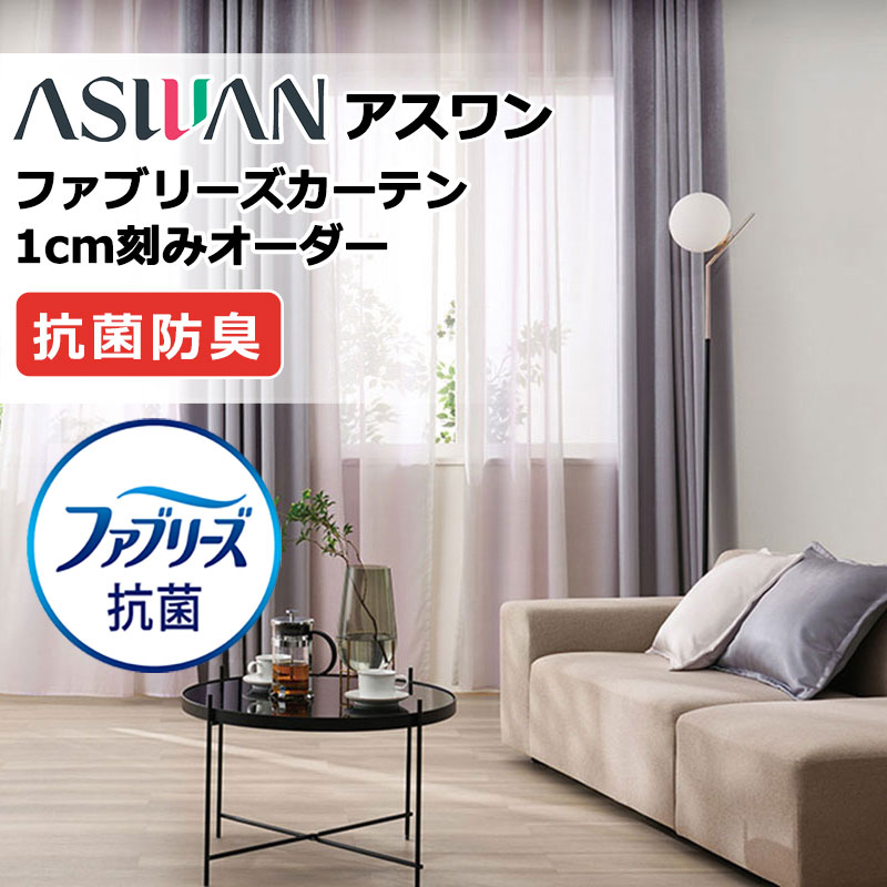 引き幕 疑しさ アスワン ファブリーズカーテン ひな形仕立てものスタイリッシュウェーブ種類兼ね合い 約2倍ヒダ FB004 シアー 幅150×高さ200珊迄