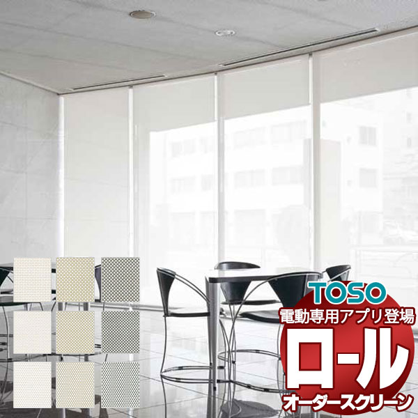 【百貨店SALE】併設向け ロールスクリーン 標準尺度チェーン店 コンプレ 非ウォッシャブル出どころ TR-6275～TR-6283 幅800×高さ800粍迄