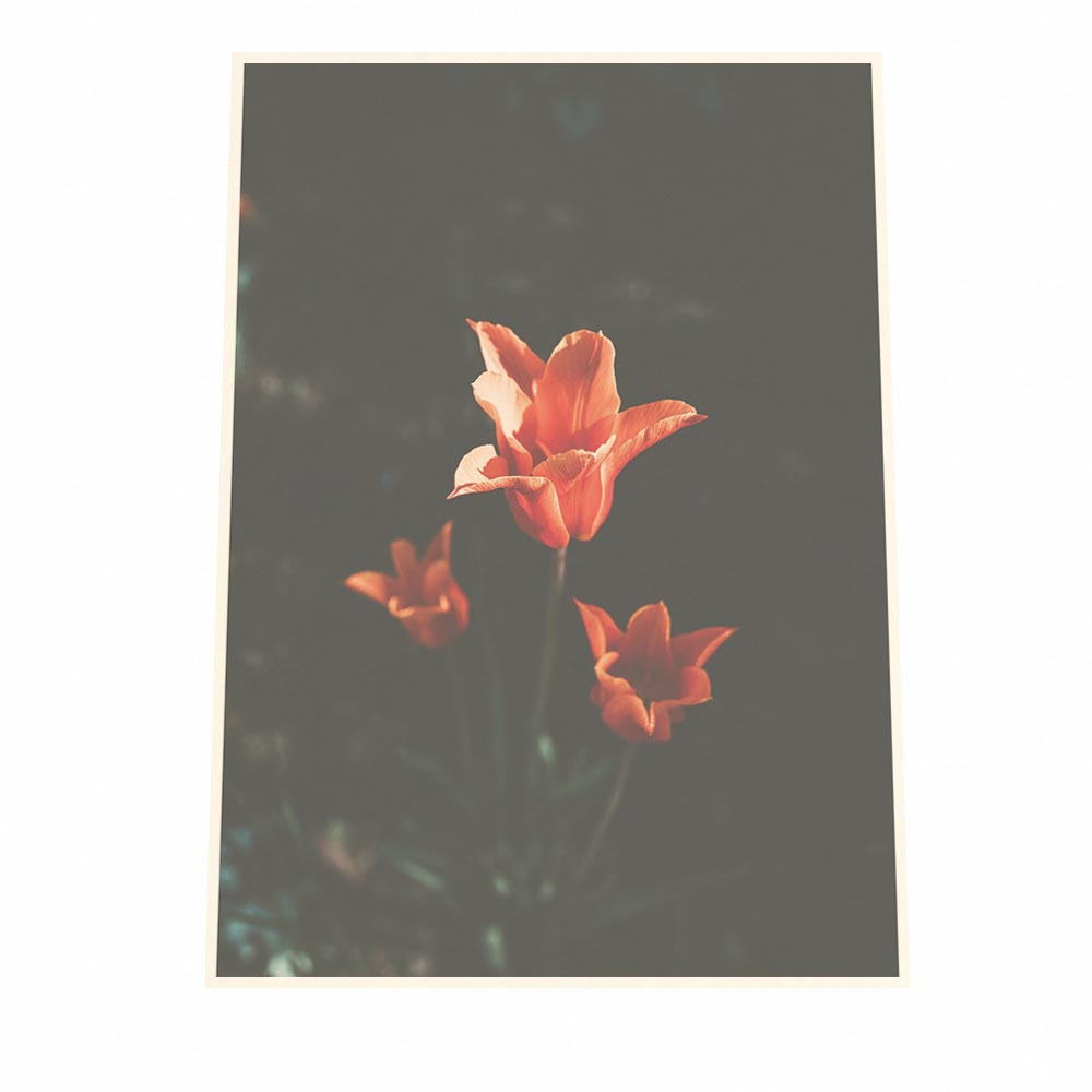 楽天市場 ポスター サイズ 約42x59cm 選べる用紙 大きさ ポスター インテリア おしゃれ ファッション ポスター 大きい フォト アート はな シンプル 花 オレンジ ユリ 百合 植物 自然 ボタニカル 北欧 韓国 カフェ風 フラワー リビング インテリア ファッションポスター