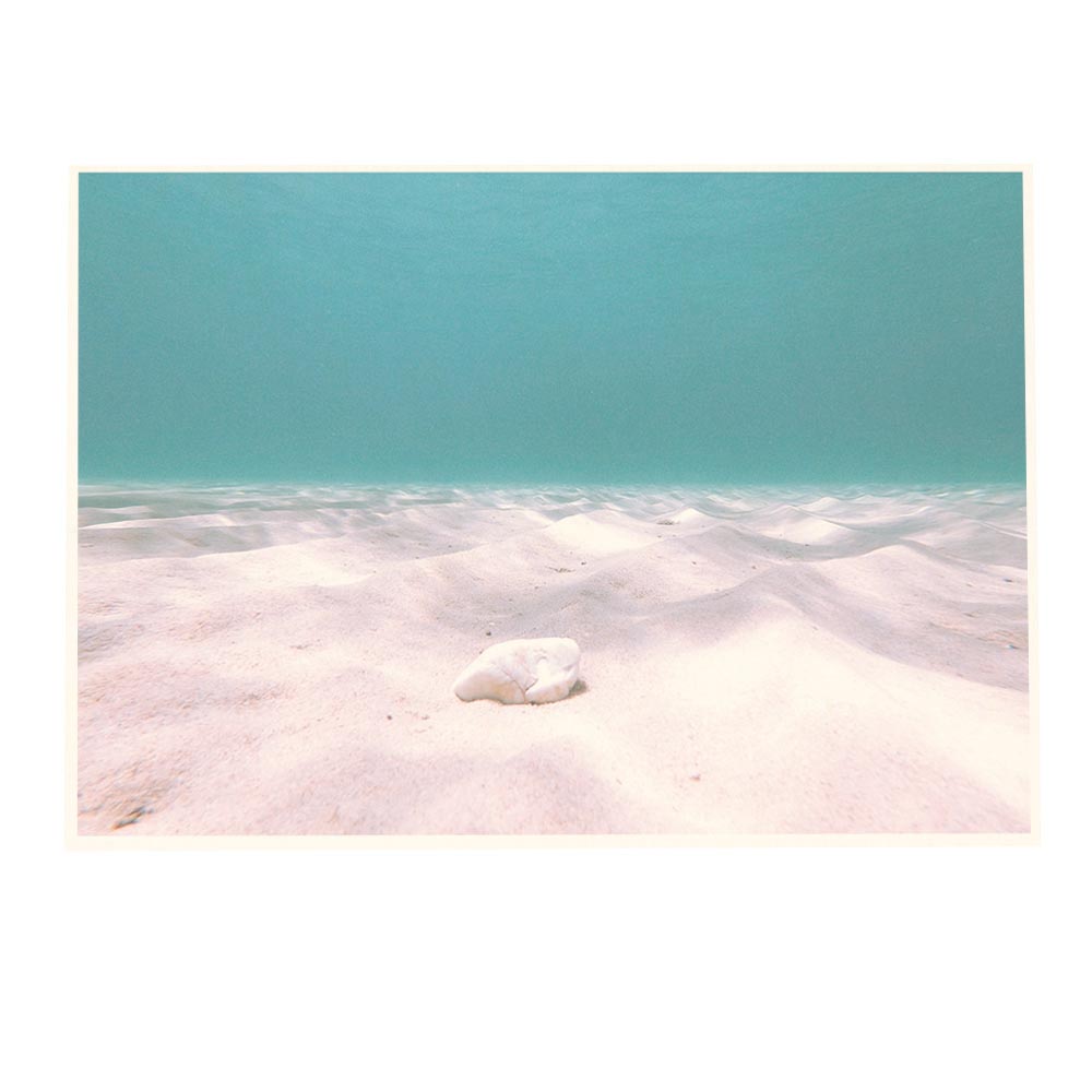 楽天市場 ポスター B1サイズ 約73x103cm 選べる用紙 大きさ ポスター インテリア おしゃれ ファッション ポスター 大きい 西海岸 海 カリフォルニア ブルックリン サーフ きれい 水 波 水中 深海 海の中 砂濱 ダイビング インテリア ファッションポスター