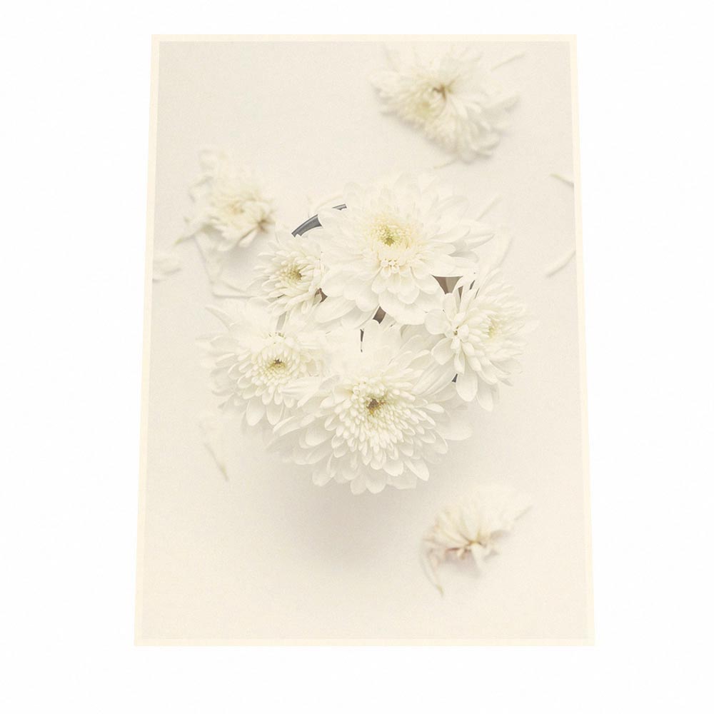 楽天市場 ポスター A1サイズ 約59x84cm 選べる用紙 大きさ ポスター インテリア おしゃれ ファッション ポスター 大きい フォト オシャレ 植物 花 白い花 緑 グリーン 草 インテリア ファッションポスター