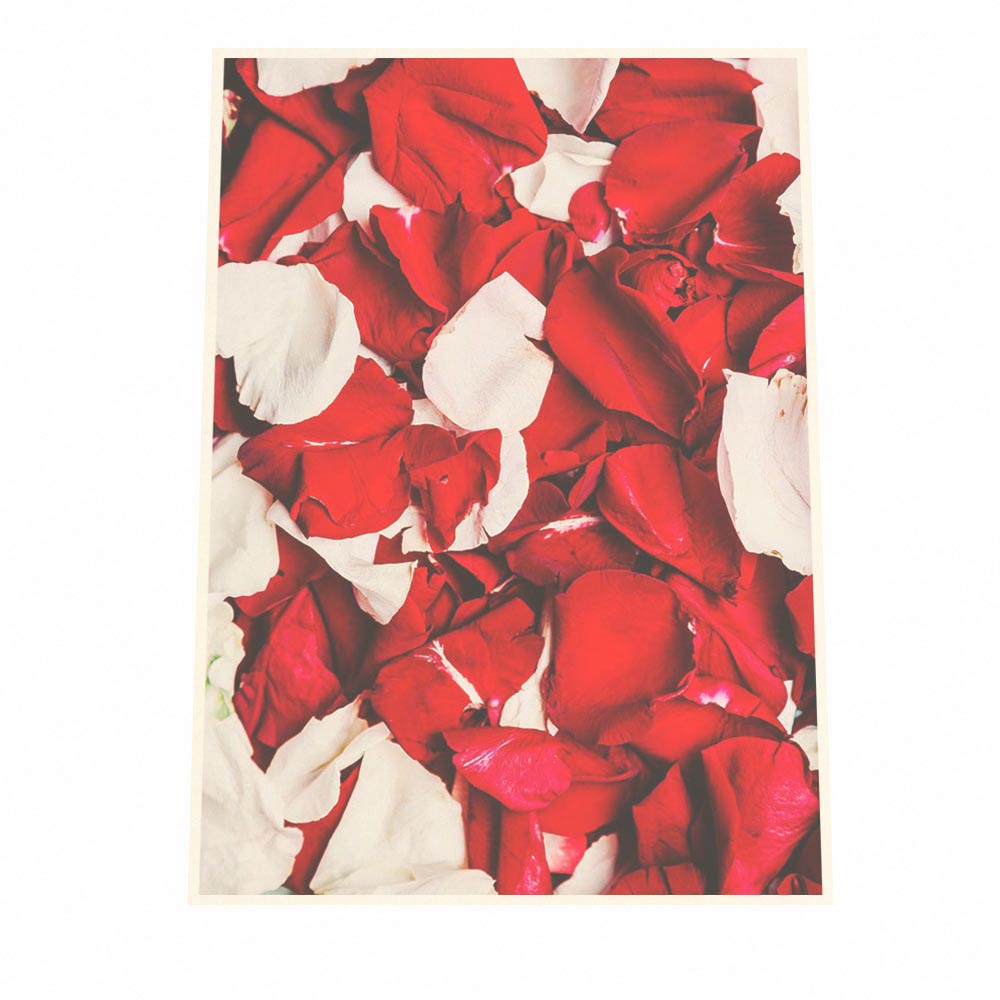 22公式店舗 ポスター サイズ 約42x59cm 選べる用紙 大きさ インテリア オシャレ ファッション フォト アート モダン お洒落 おしゃれ 可愛い かわいい 薔薇 花びら バラ ローズ 花束 ホワイト 赤 リゾート ホテルライク 北欧 ドライフラワー Cmdb Md