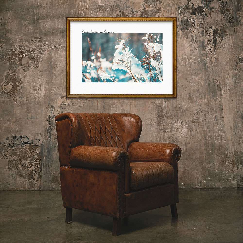 今日の超目玉 ポスター B1サイズ 約73x103cm 選べる用紙 大きさ インテリア おしゃれ ファッション 大きい フォト オシャレ グリーン 植物 自然 ナチュラル 空 青 Bagochile Cl