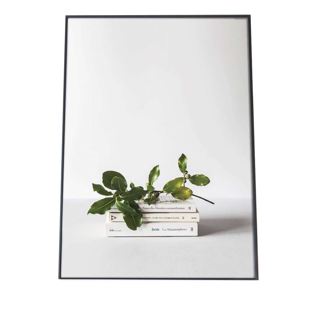 ポスター サイズ 約21x30cm 選べる用紙 大きさ インテリア おしゃれ ファッション 植物 観葉植物 北欧 葉 グリーン 自然 シンプル 雑貨 モノクロ ナチュラル ヨーロッパ 韓国 カフェ風 アート 写真 フォト 超特価激安