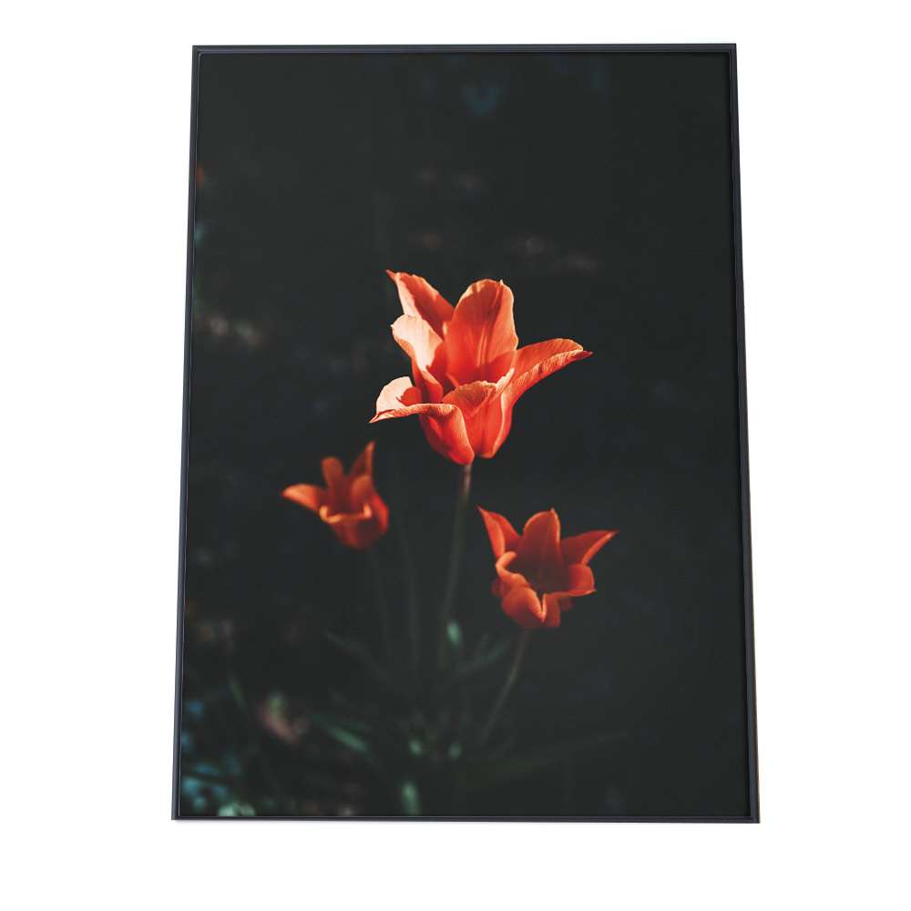 サイズ ポスター インテリア おしゃれ 巨大 ビッグ 壁紙 インパクト フォト インテリア ファッションポスター 特大 B0サイズ 約103x145cm 選べる用紙 大きさ 大きい 特注 ポスター るものあり Revistafactual Com Br