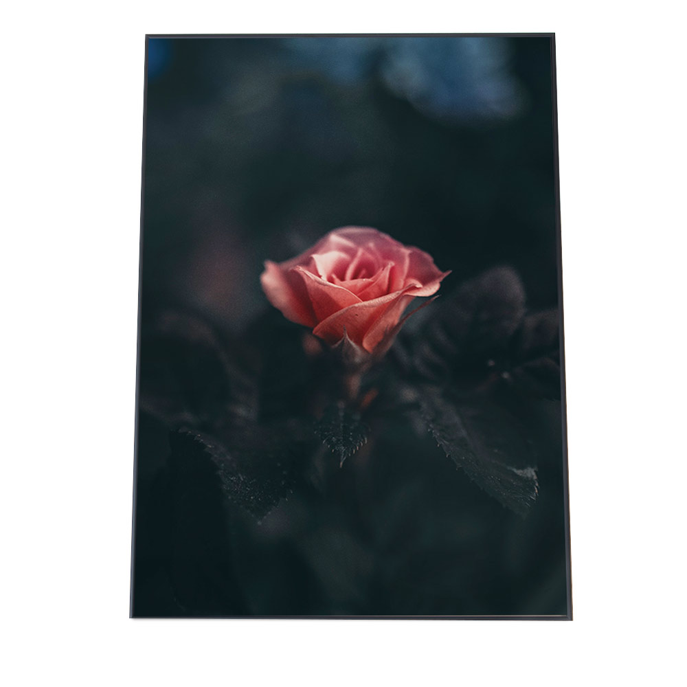 楽天市場 ポスター A3サイズ 約30x42cm 選べる用紙 大きさ ポスター インテリア おしゃれ ファッション ポスター バラ 薔薇 花 フラワー 植物 キレイ 女性らしい レディース 赤 ピンク インテリア ファッションポスター