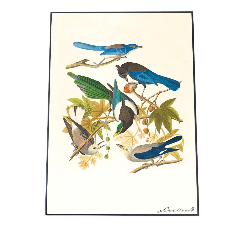 楽天市場 ポスター A3サイズ 約30x42cm 選べる用紙 大きさ ポスター インテリア おしゃれ ファッション ポスター トリ 鳥 絵画 アート 画 絵 自然 和風 バード 北欧 ナチュラル モダン インテリア ファッションポスター