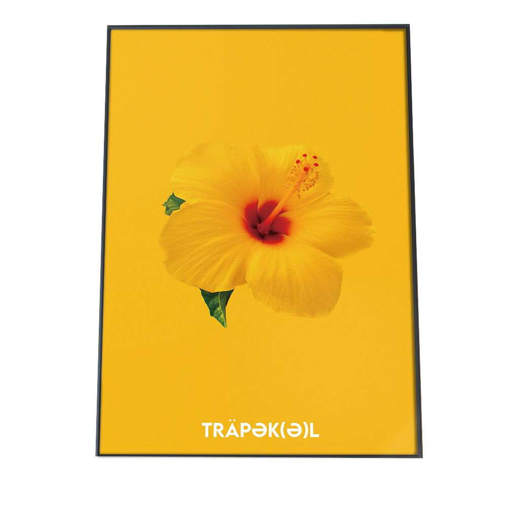 ポスター サイズ 約21x30cm 選べる用紙 大きさ インテリア おしゃれ ファッション 観葉植物 一輪 ハイビスカス ビタミンカラー イエロー 黄色 クリスマス 低木 北欧 韓国 花 はな シンプル 絵画 壁掛け モダン アート 予約受付中