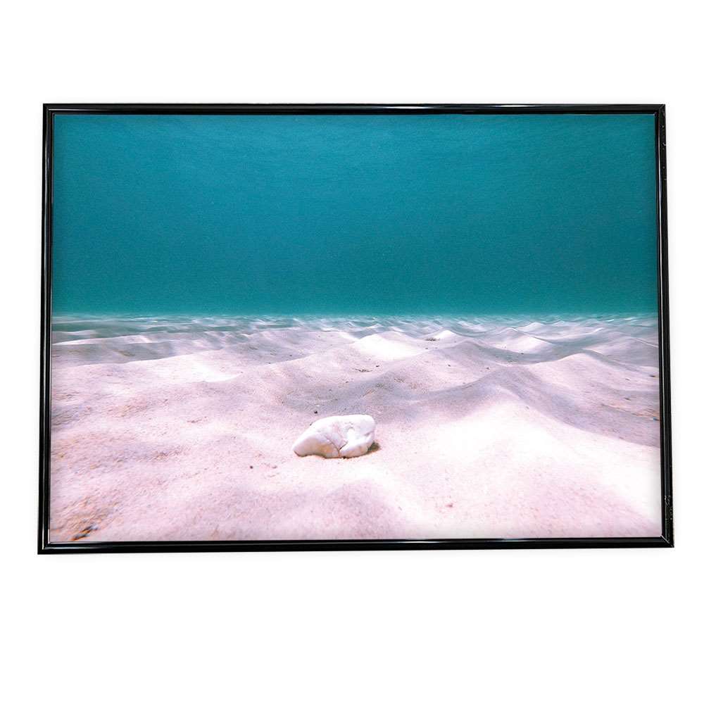 楽天市場 ポスター B1サイズ 約73x103cm 選べる用紙 大きさ ポスター インテリア おしゃれ ファッション ポスター 大きい 西海岸 海 カリフォルニア ブルックリン サーフ きれい 水 波 水中 深海 海の中 砂濱 ダイビング インテリア ファッションポスター