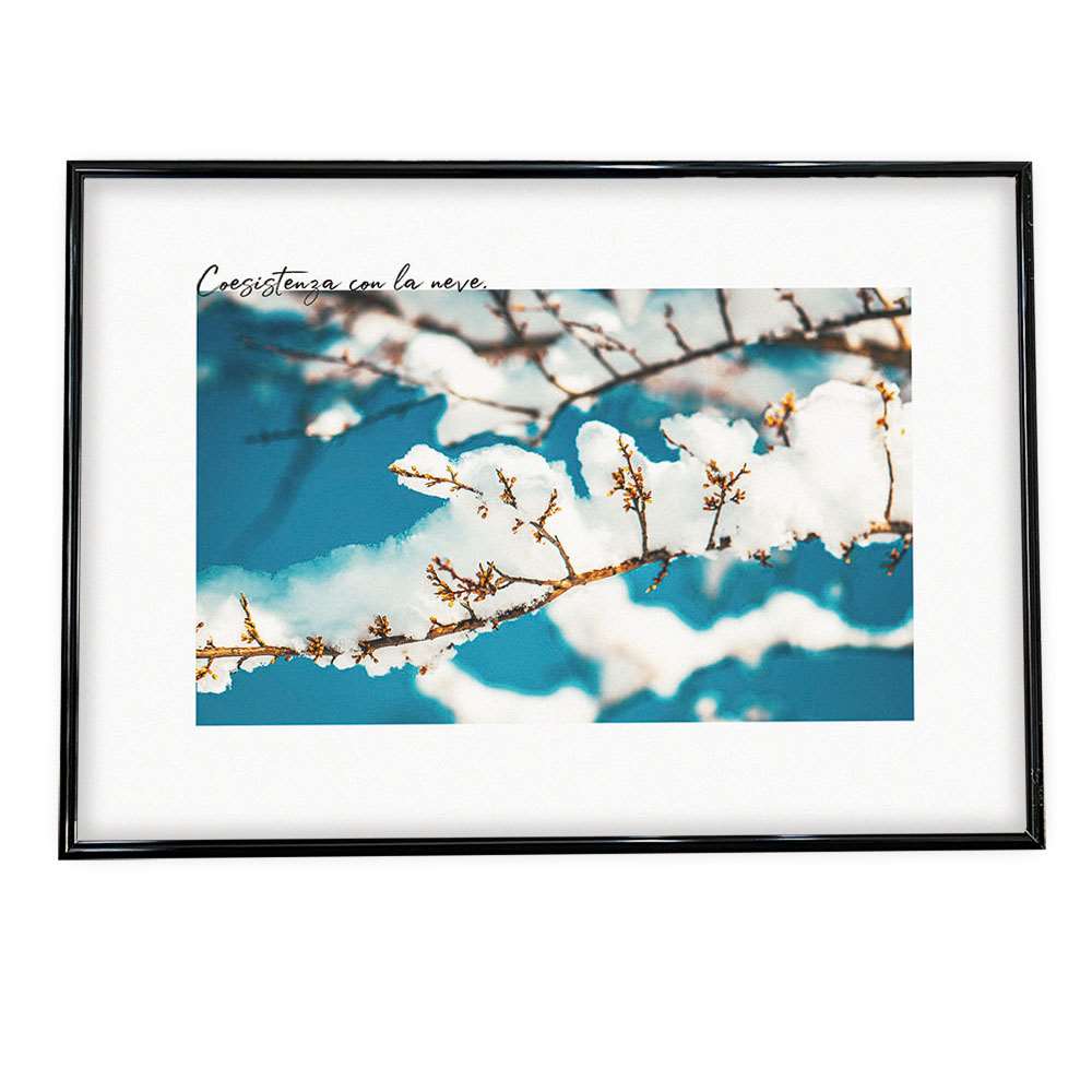 ポスター サイズ 約36x51cm 選べる用紙 大きさ インテリア おしゃれ ファッション フォト オシャレ グリーン 植物 自然 ナチュラル 空 青 定番の人気シリーズpoint ポイント 入荷