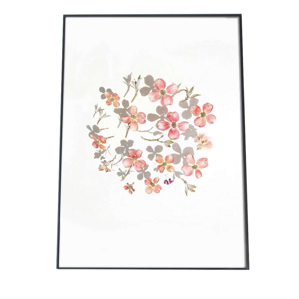 よろしけれ ヤフオク イギリス ドライフラワーの店 風景写真 額縁付 A メーカー Shineray Com Br