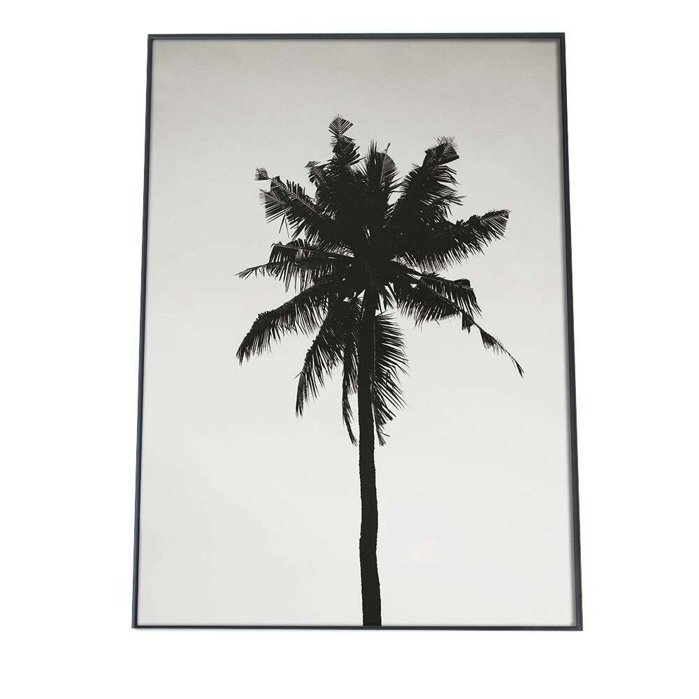 ポスター A3サイズ 約30x42cm 選べる用紙 大きさ インテリア おしゃれ ファッション 植物 観葉 グリーン ボタニカル 緑 アーバンジャングル 草 木 ヤシの木 フェニックス 税込