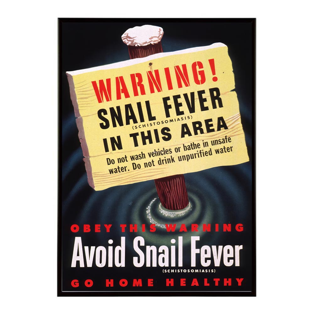 【楽天市場】Warning?snail_fever_(schistosomiasis)_in_this_area超古いポスター 復刻 デジタル ...