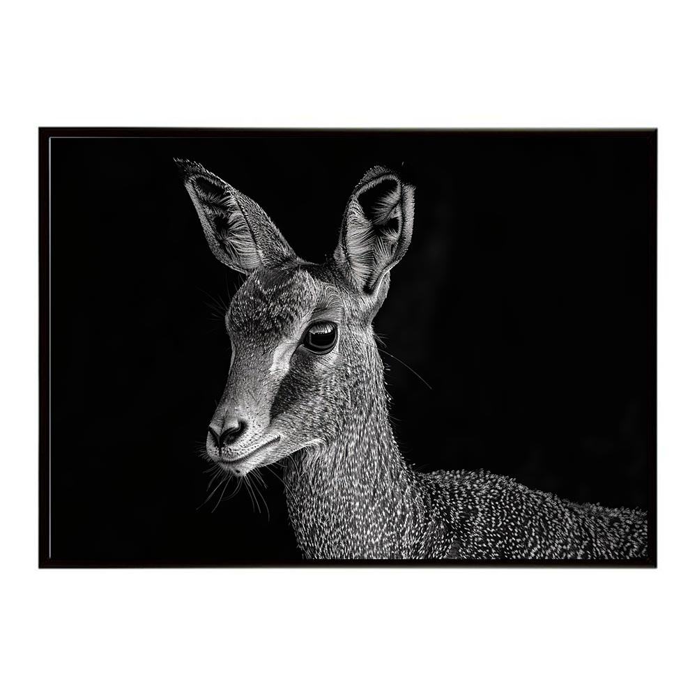  【楽天市場】Klipspringer クリップスプリンガー アンテロープ サバンナ アフリカ 草原 自然 ネイチャー 動物 アニマル 野生動物 Motiv 