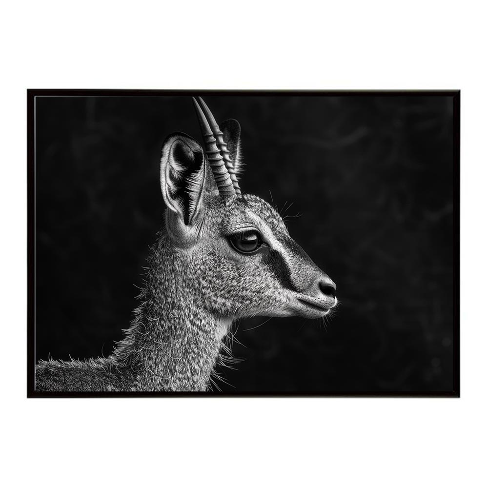  【楽天市場】Klipspringer クリップスプリンガー アンテロープ サバンナ アフリカ 草原 自然 ネイチャー 動物 アニマル 野生動物 Motiv 