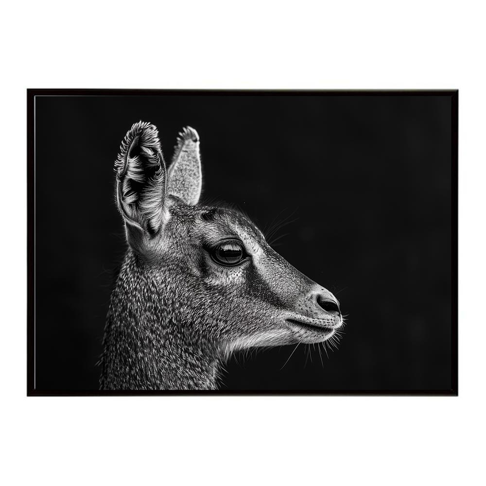  【楽天市場】Klipspringer クリップスプリンガー アンテロープ サバンナ アフリカ 草原 自然 ネイチャー 動物 アニマル 野生動物 Motiv 