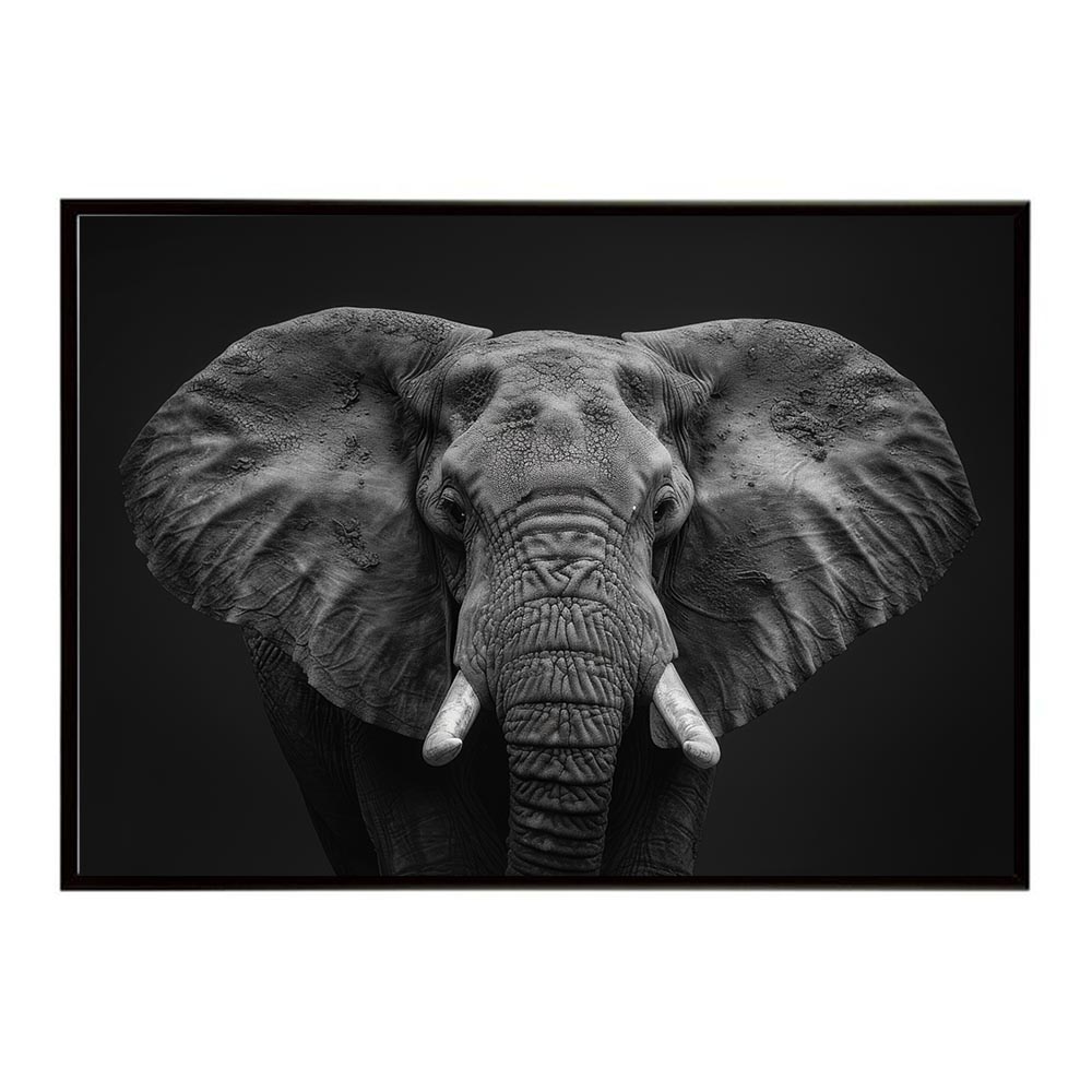 Elephant ゾウ エレファント サバンナ アフリカ 草原 自然 ネイチャー 動物 アニマル 野生動物 写真ポスター インテリア おしゃれ プリントポスター フォト シンプル お洒落 特大 大きい/lh-poster-7156