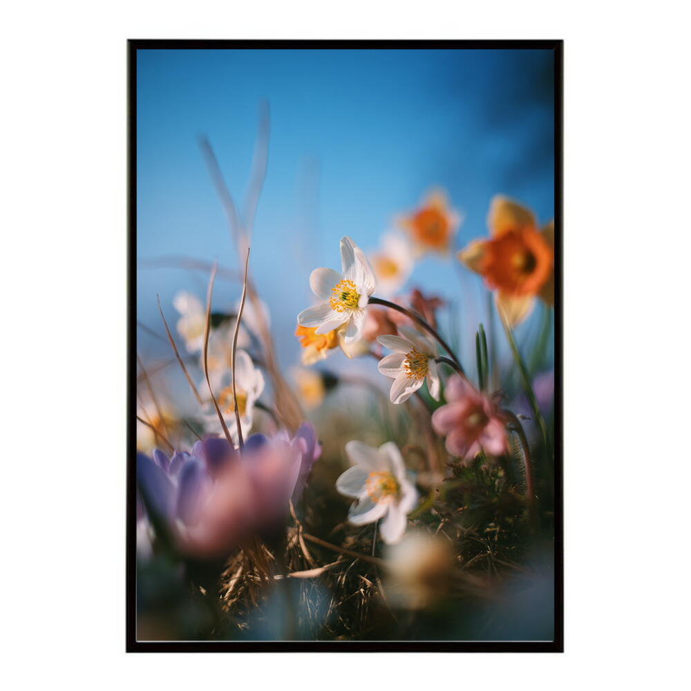 誕生花 ポスター 季節の花 冬の花 早春 フラワーアート ボタニカル 北欧 モダン ナチュラル 花のある暮らし 壁掛け ギフト 記念日 誕生日【km-poster-1976】