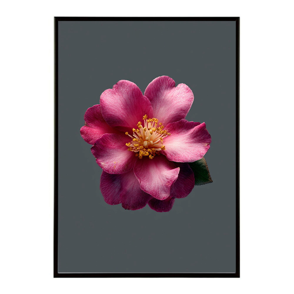 誕生花 ポスター 季節の花 冬の花 早春 フラワーアート ボタニカル 北欧 モダン ナチュラル 花のある暮らし 壁掛け ギフト 記念日 誕生日【km-poster-1994】