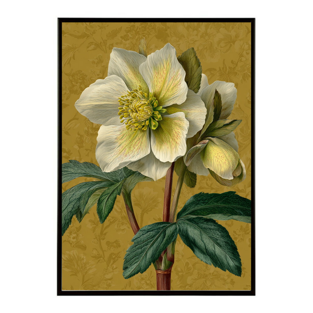 誕生花 ポスター 季節の花 冬の花 早春 フラワーアート ボタニカル 北欧 モダン ナチュラル 花のある暮らし 壁掛け ギフト 記念日 誕生日【km-poster-2004】