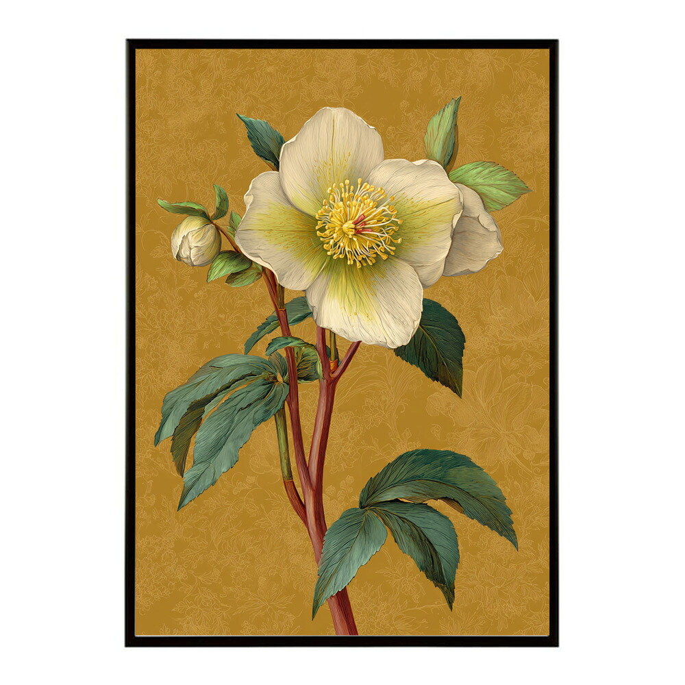 誕生花 ポスター 季節の花 冬の花 早春 フラワーアート ボタニカル 北欧 モダン ナチュラル 花のある暮らし 壁掛け ギフト 記念日 誕生日【km-poster-2008】