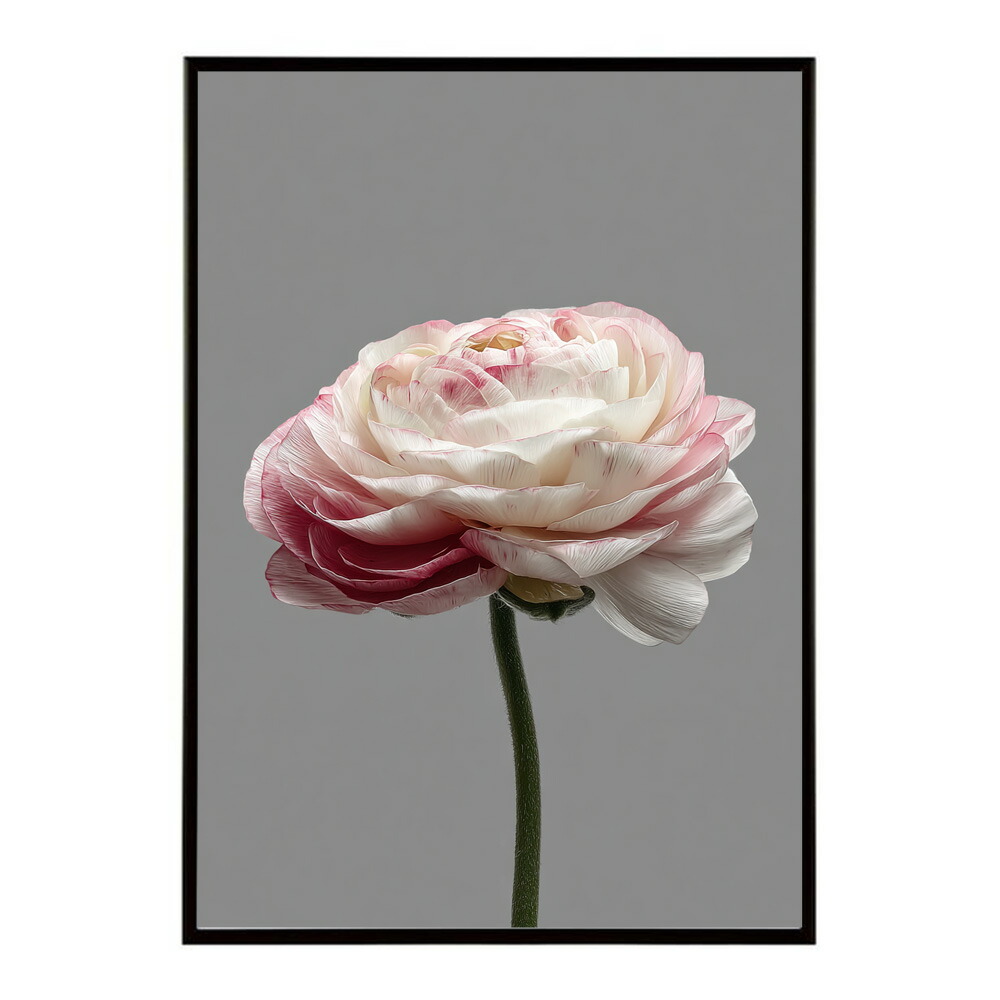 誕生花 ポスター 季節の花 冬の花 早春 フラワーアート ボタニカル 北欧 モダン ナチュラル 花のある暮らし 壁掛け ギフト 記念日 誕生日【km-poster-2051】