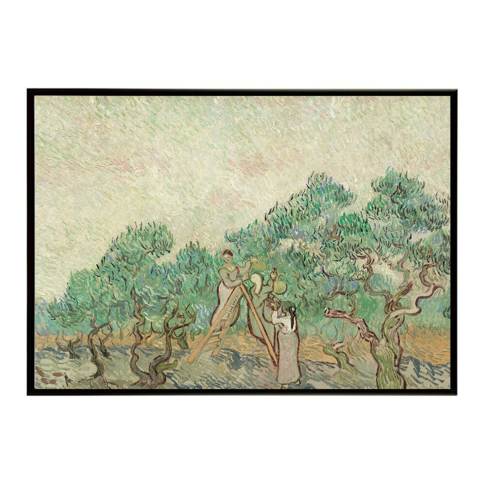 ゴッホ 木々の風景 The Olive Orchard 【Vincent van Gogh】 (1889) 絵画 ポスター デジタルリマスター 名画 絵 復刻 油絵 水彩 【bn-poster-7773】 10,698円