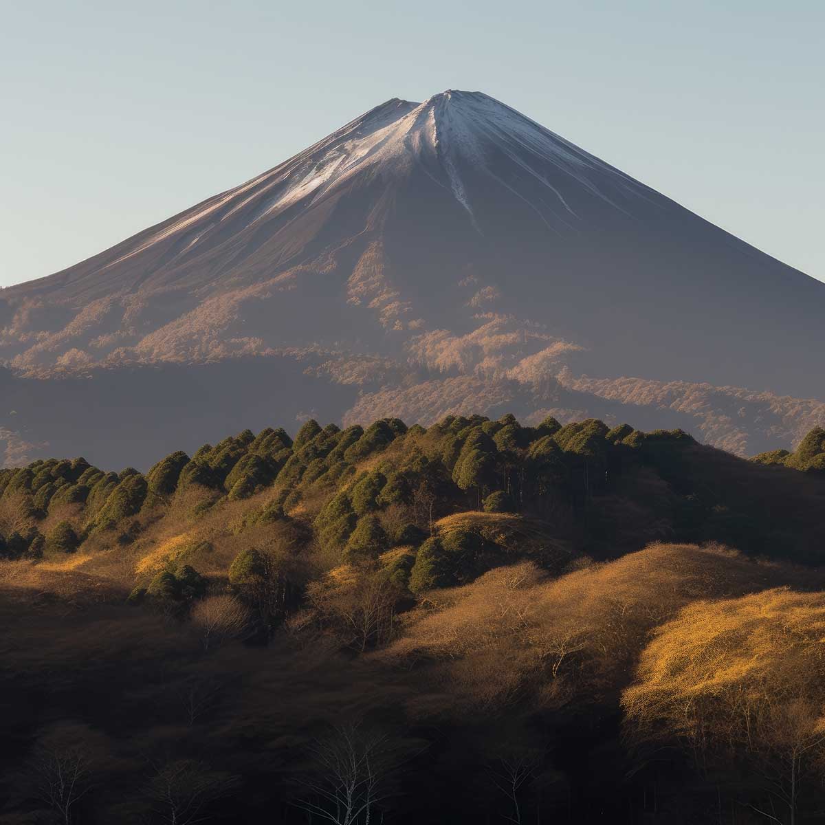 金の富士 金運 ゴールド 山 富士山 ご利益 運気 グッズ アイテム 開運 正方形ポスター 四角 デザイン ポスター スクエア ５センチ刻みでサイズ豊富 絵画【sq-poster-1092】