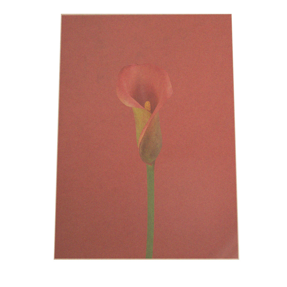 楽天市場 ポスター B2サイズ 約51x73cm 選べる用紙 大きさ ポスター インテリア おしゃれ ファッション ポスター 観葉植物 一輪 カラーリリー リース 赤 クリスマス 低木 北欧 韓国 花 はな シンプル 絵画 壁掛け モダン アート インテリア ファッションポスター