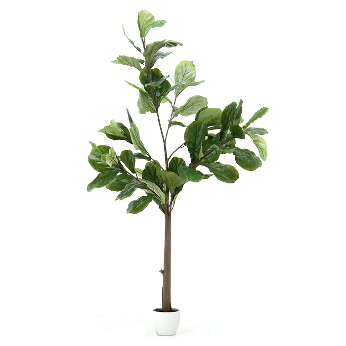 観葉植物 フェイクグリーン 人工観葉植物 カシワバゴムノキ Andapt Com