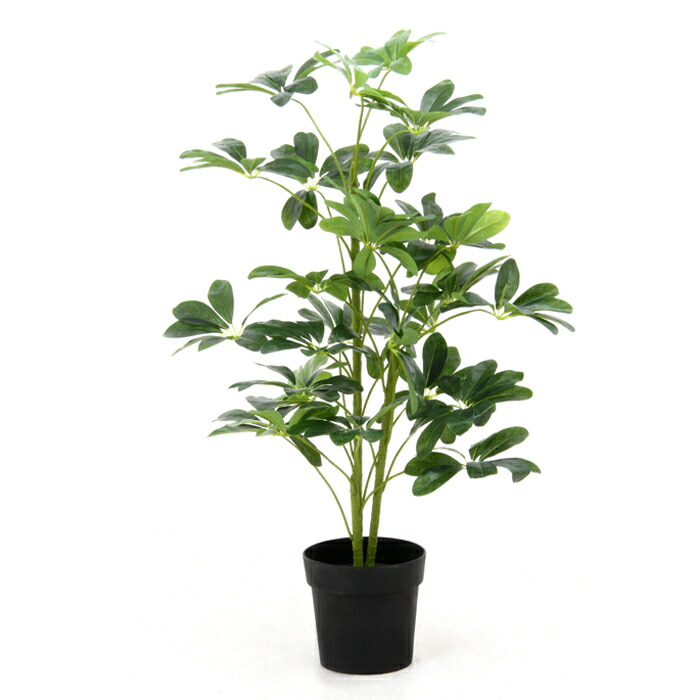 観葉植物 フェイクグリーン 人工観葉植物 ヤドリフカノキ Rockridgefamilymed Com