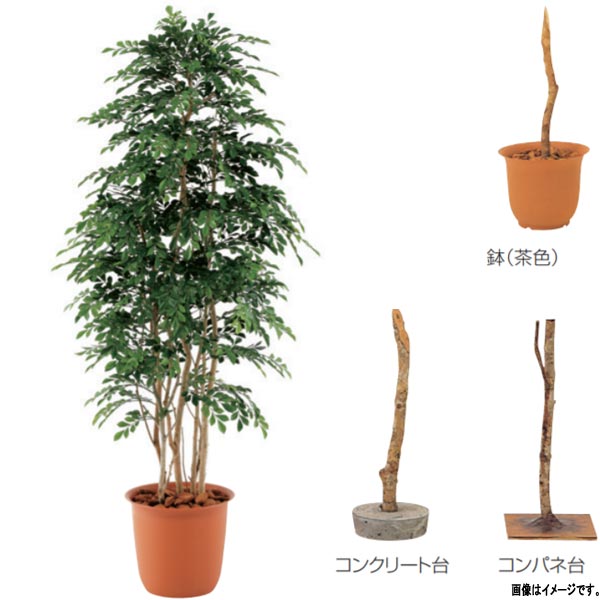 グローベン 人工草木 あずま屋・屋内用 秦皮 A70ND388 H1800粍