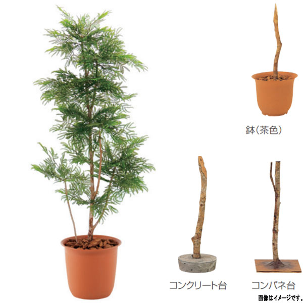 グローベン 人工植物 樹木・屋内用 エバーフレッシュ A70ND515 H1500mm|イーヅカ