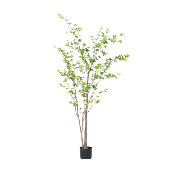 グローベン 人工植物 樹木・屋内用 ドウダンツツジ H1900 A70TN119