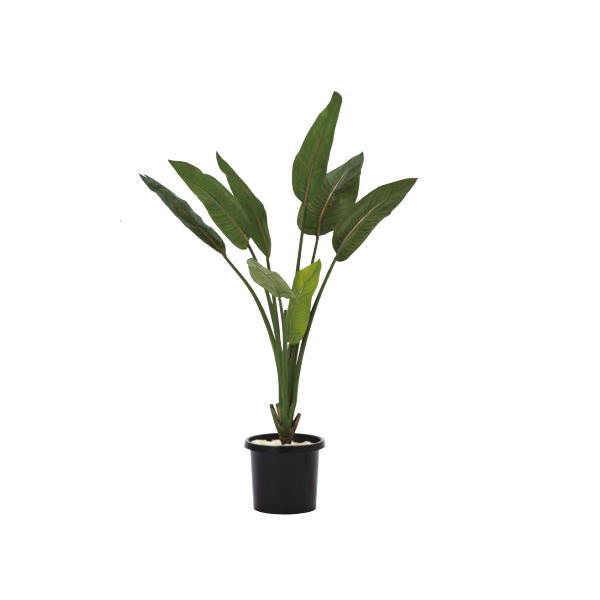 グローベン 人工植物 樹木・屋内用 ストレチア H1200 A70TN142｜イーヅカ 16,695円