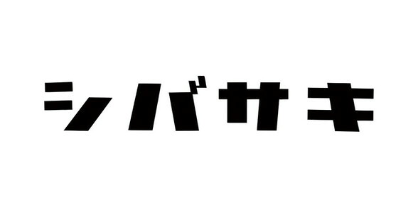 福彫 ステンレス切文字 表札 メタル（4文字） KT-67｜イーヅカ
