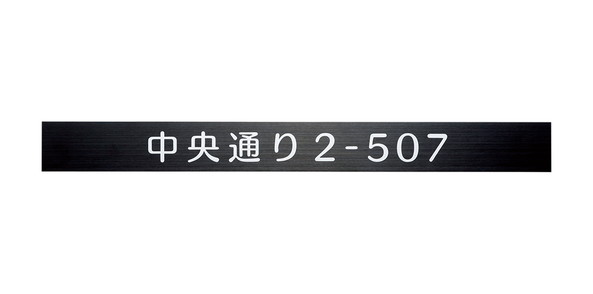 福彫 商業主義顕われ ステンレス鋼黒いこと助けること一皿 SZ-902