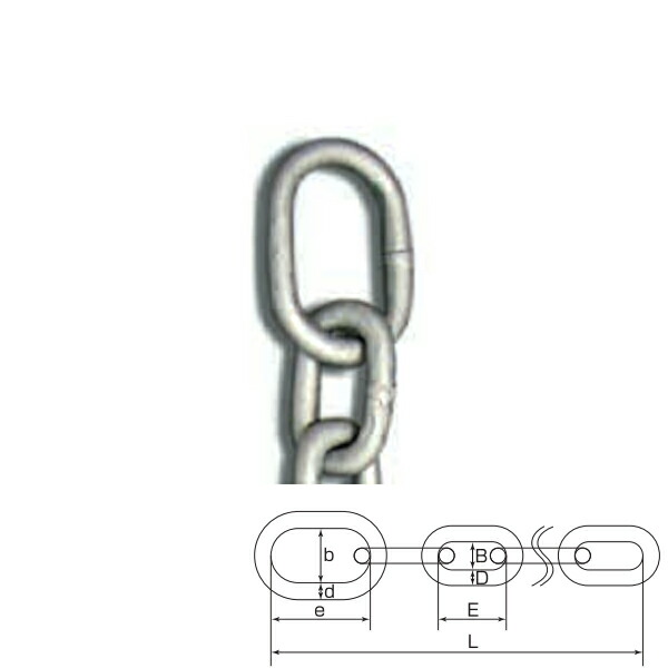 ひめじや 切り取り押しとどめる用チェーン店 とられん鎖 10m DFC-10-10  1本