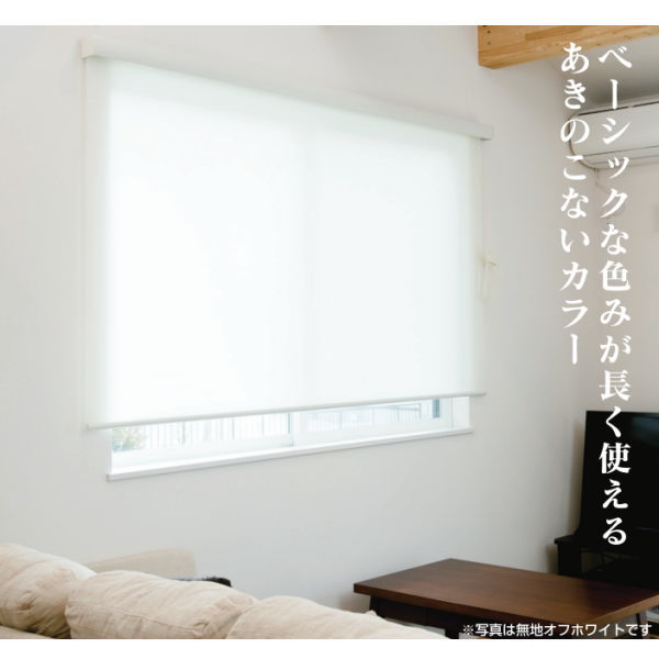 盛りだくさんネス ロールスクリーン エクシブ 飾り気の無い (無地) 印字機 幅136～180糎 高さ136～180糎