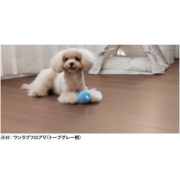 DAIKEN ペット用床材 ワンラブフロア5 12mm厚 303×1,818mm 6枚 (3.3平米) YN87|イーヅカ