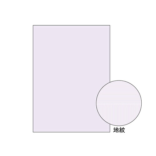 ヒサゴ A4 転写物聞き分け質問用紙 両面大入り BP2110Z 1箱