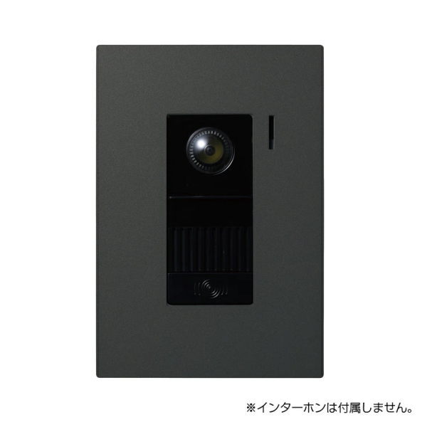 オンリー一野球クラブ 埋め込み型インターコム取りまかなう ブラストブラック 対応子機：アイホン（JS-DA） KN1-GP092XK74