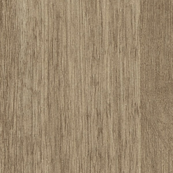 一期一会 専用ページ FE76579 | サンゲツ