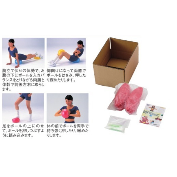 ダンノ ソフトギムニク10（10個1組） Φ23cm 15,460円