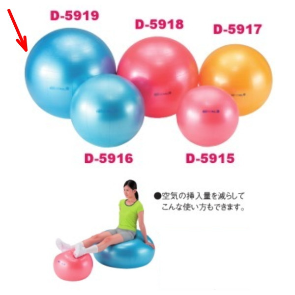ダンノ ギムニクボディボール95 Φ95cm ブルー D-5919｜イーヅカ