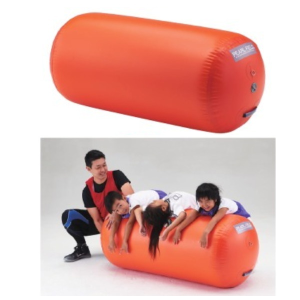 ダンノ エアーロール65（オレンジ） 幅150×直径65cm D-7197 80,777円