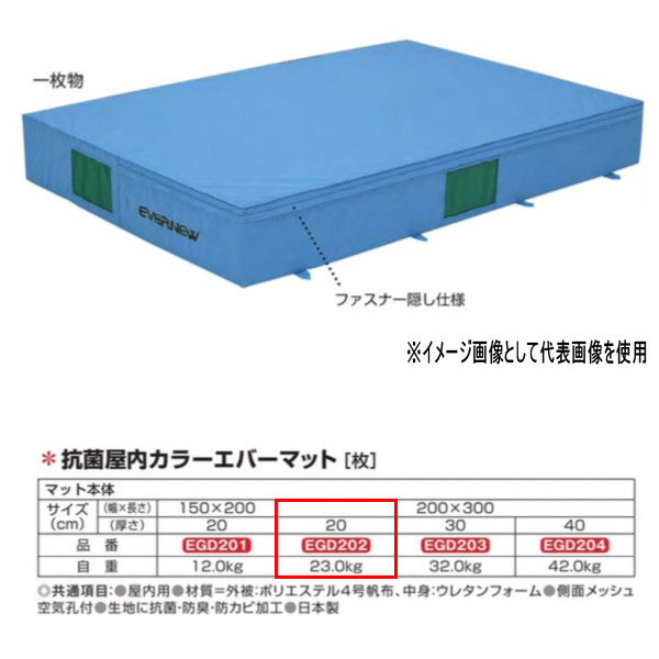 エバニュー 抗菌 屋内 カラーエバーマット EGD202 200×300珊 20珊厚