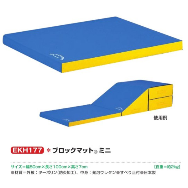 楽天市場】エバニュー 屋内エバーマット EGD101 150×200cm 20cm厚 : イーヅカ