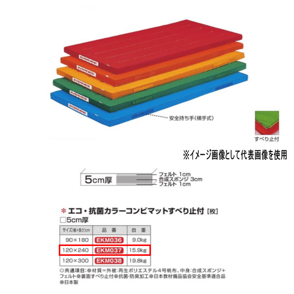 エバニュー エコ・抗菌色合い二人組つや消しすべり止付 EKM037 幅120×長240糎 厚5糎