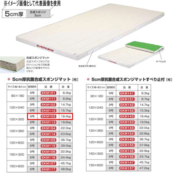 エバニュー 5糎厚 抗菌練りあわせる 海綿体つや消し EKM103 幅120×長300糎 9号キャンヴァス